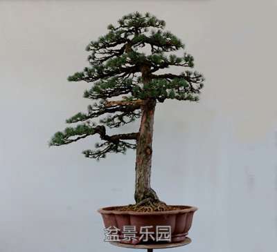 IMG_0128--.jpg