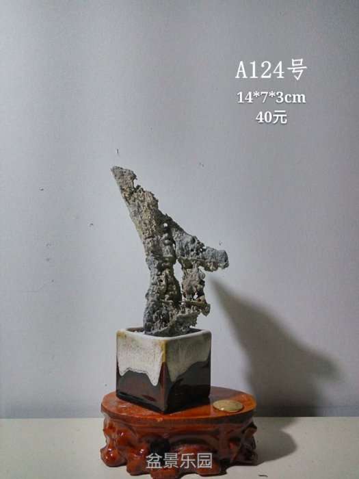 a124.jpg