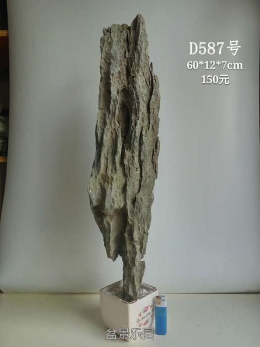 d587.jpg