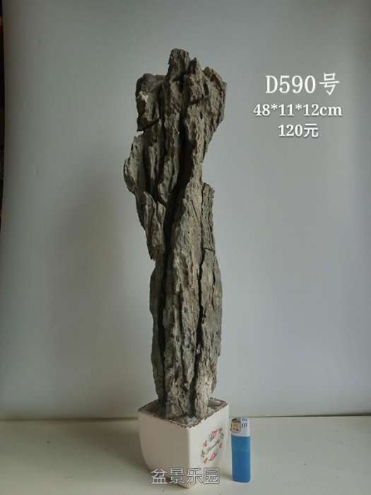 d590.jpg