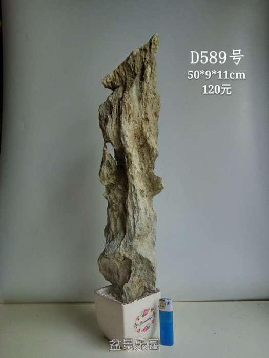 d589.jpg