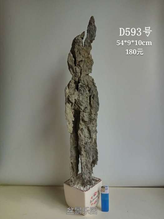 d593.jpg