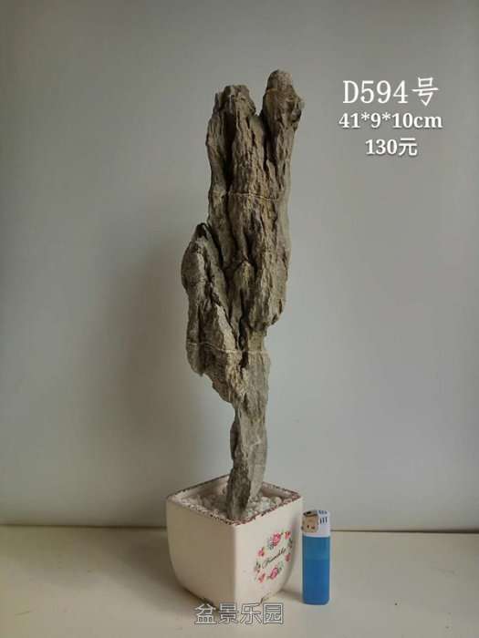 d594.jpg