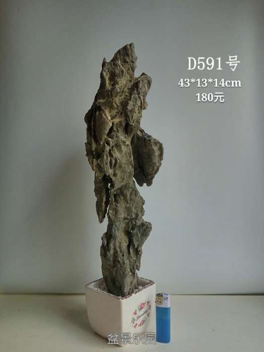 d591.jpg