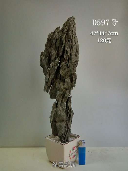 d597a.jpg