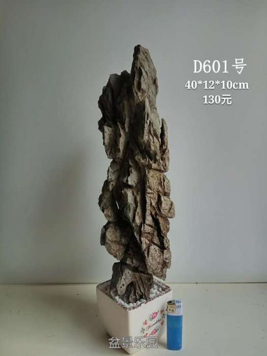 d601.jpg