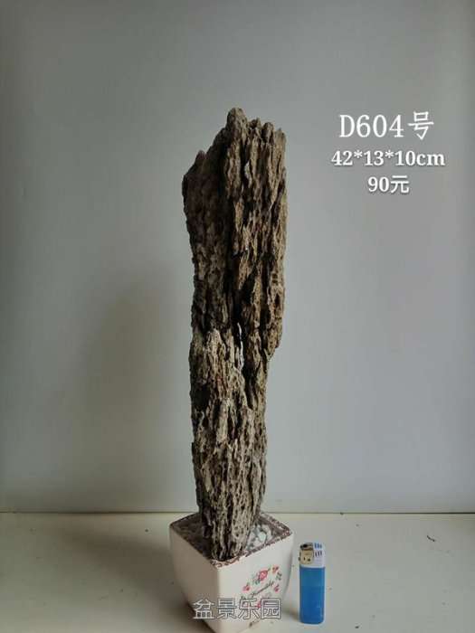 d604.jpg