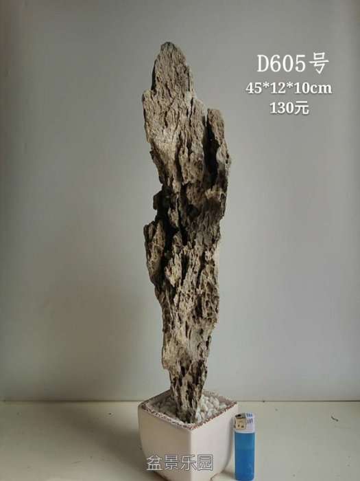 d605.jpg