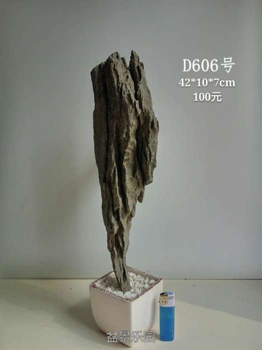 d606.jpg