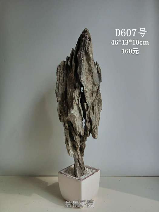d607.jpg
