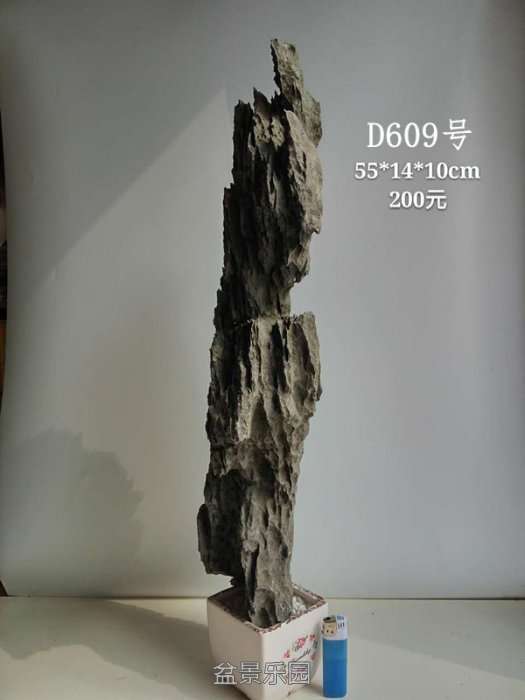 d609.jpg