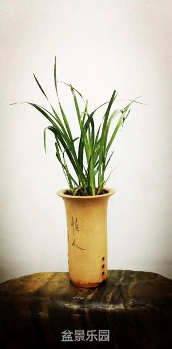2345_image_file_copy_1.jpg