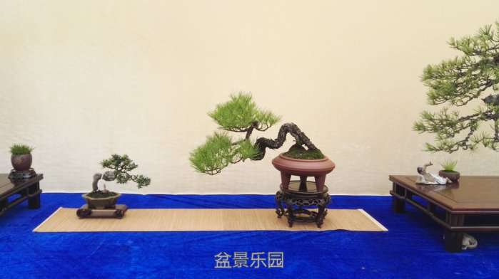 辰԰