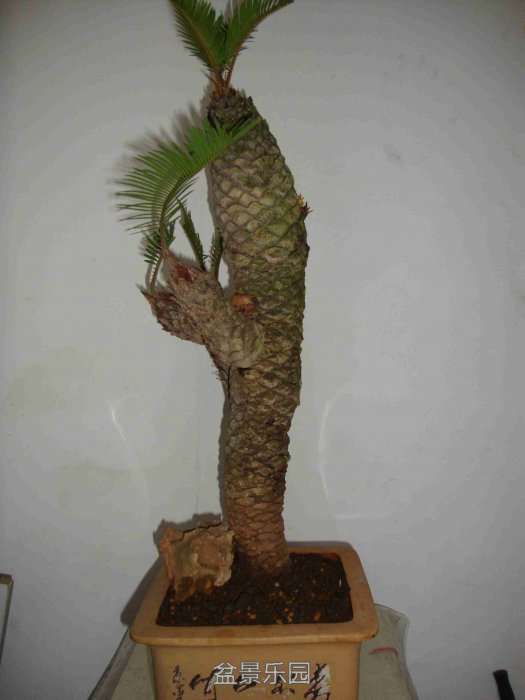 DSC08712_.jpg