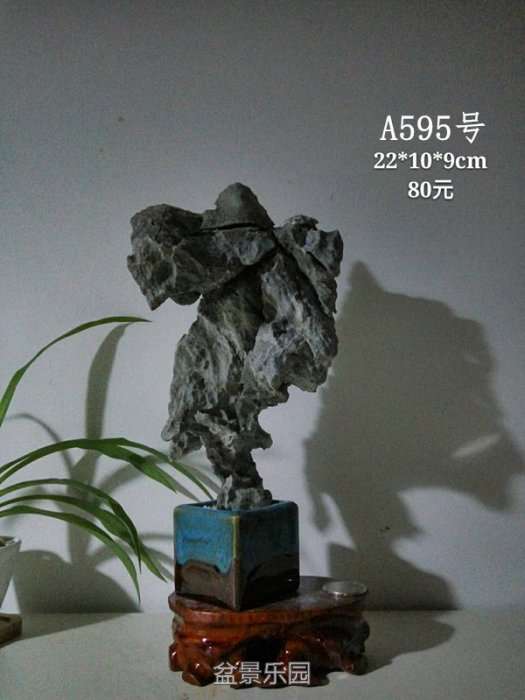 a595.jpg