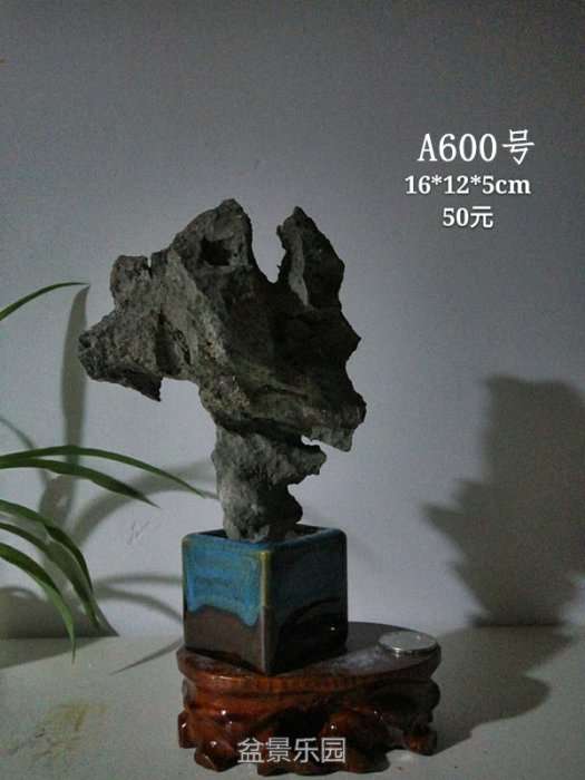 a600.jpg