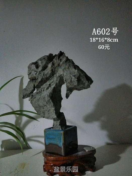 a602.jpg