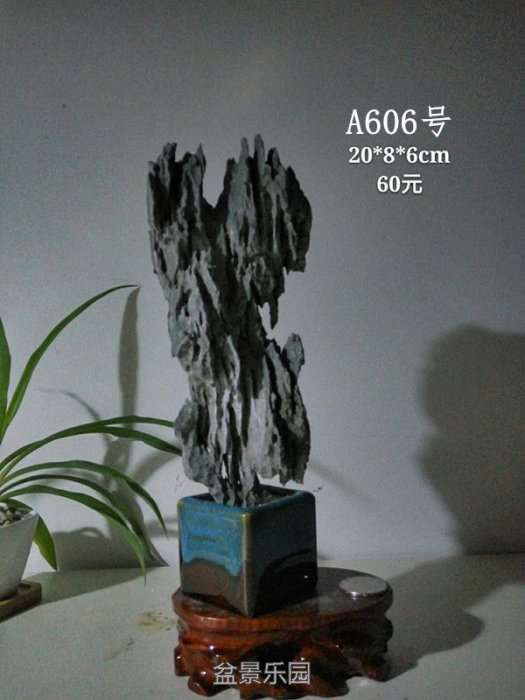 a606.jpg