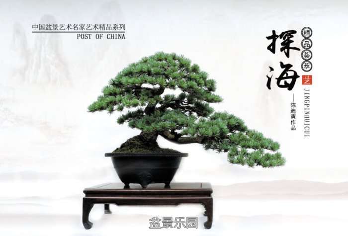 Ʒ辰ʼIMG_0442.JPG