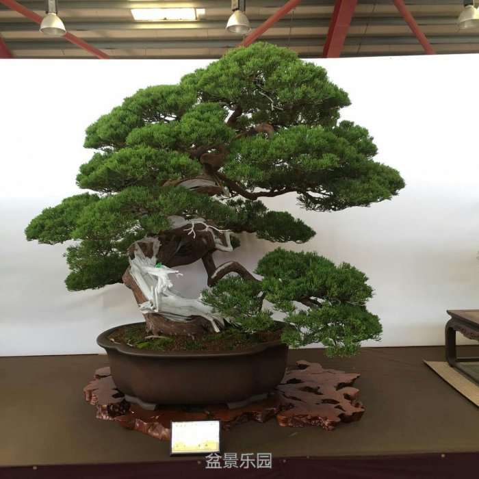 mmexport1478427664731.jpg