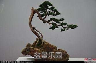 u=2652844659,2647887968&amp;fm=21&amp;gp=0.jpg