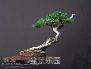 u=3827950880,319391195&amp;fm=21&amp;gp=0.jpg