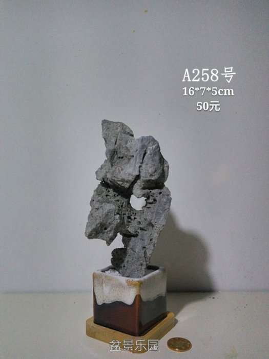 a258.jpg