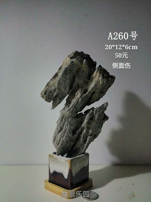 a260.jpg