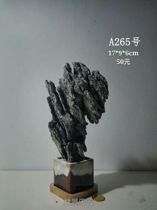 a265.jpg