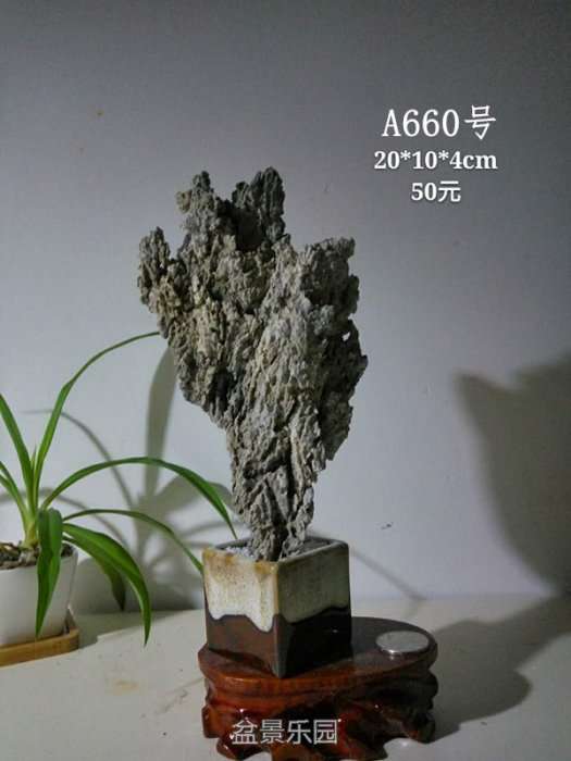 a660.jpg