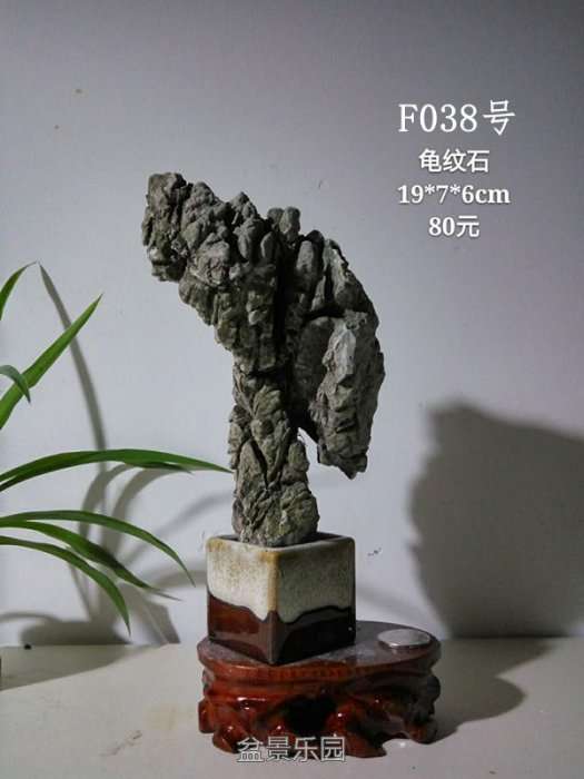 f038.jpg
