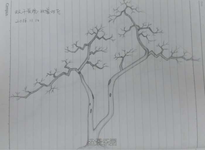20161114˫1.jpg