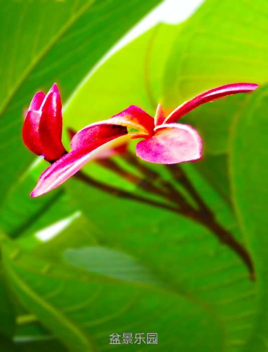 DSC_0216.JPG