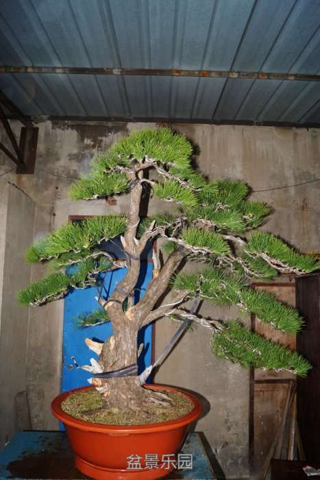 159.jpg
