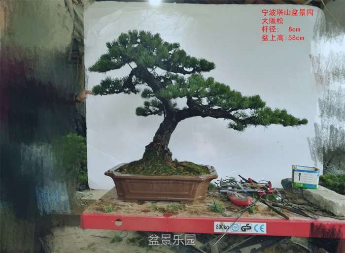 ɾƷ3.jpg