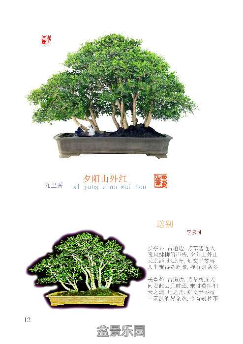 205059oq0bk6kun3y70yyu.jpg