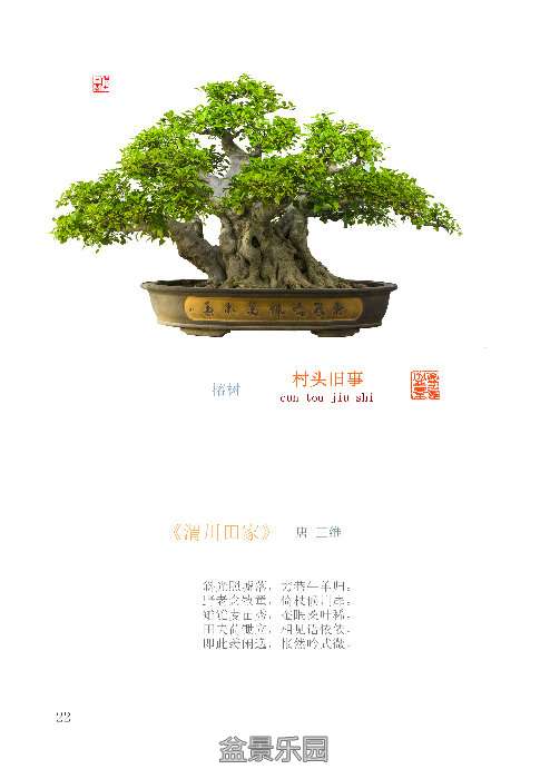 205359mbl262o7chtttoeo.jpg