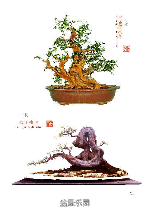 205548wthhu72oqtrttirh.jpg