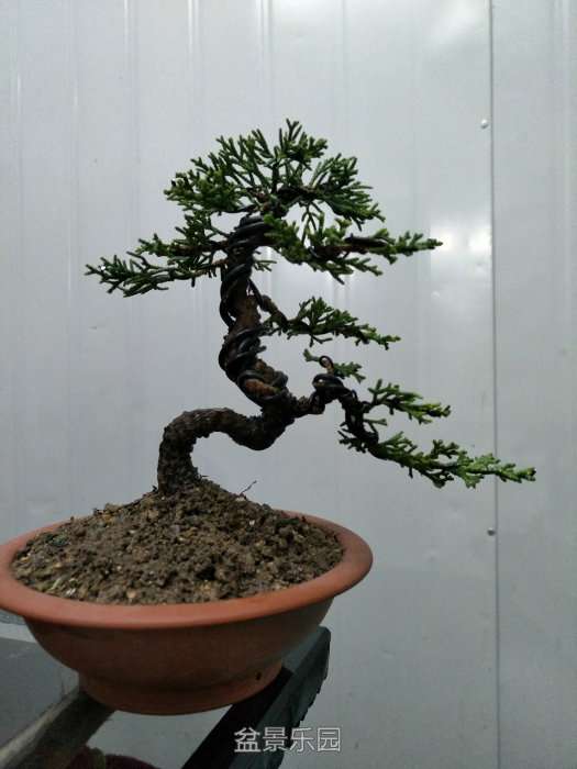090924ak6royyhoor4yz67.jpg