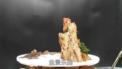 IMG_20161128_130016.jpg