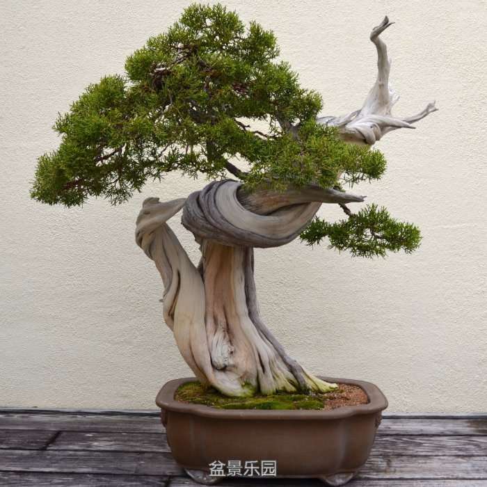 ڶɳĮеļ