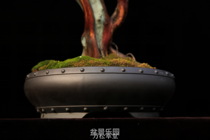 QQͼƬ20161203182754.png