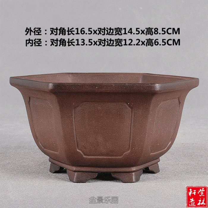 1.gif