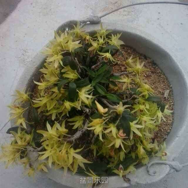 QQͼƬ20161204145109_.jpg