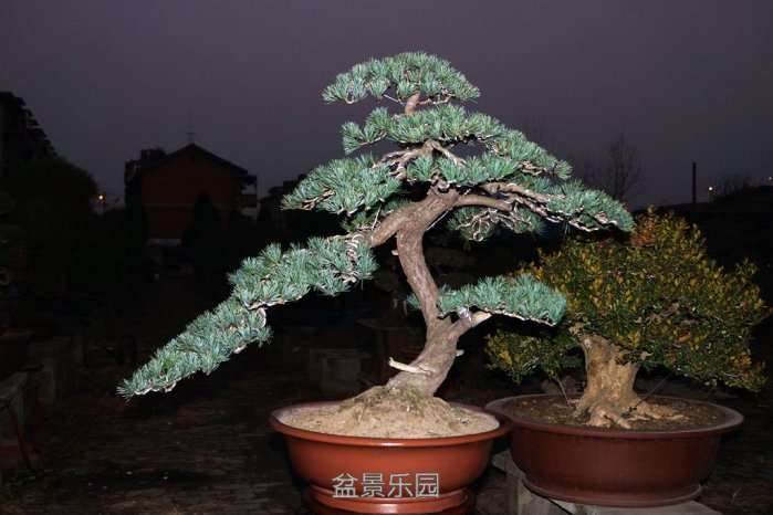 176.jpg