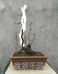 QQͼƬ20161207162420.jpg