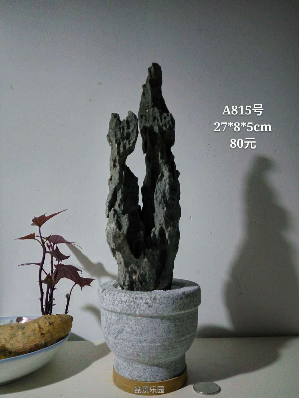 003744xczrcjd3x29b2p6u.jpg