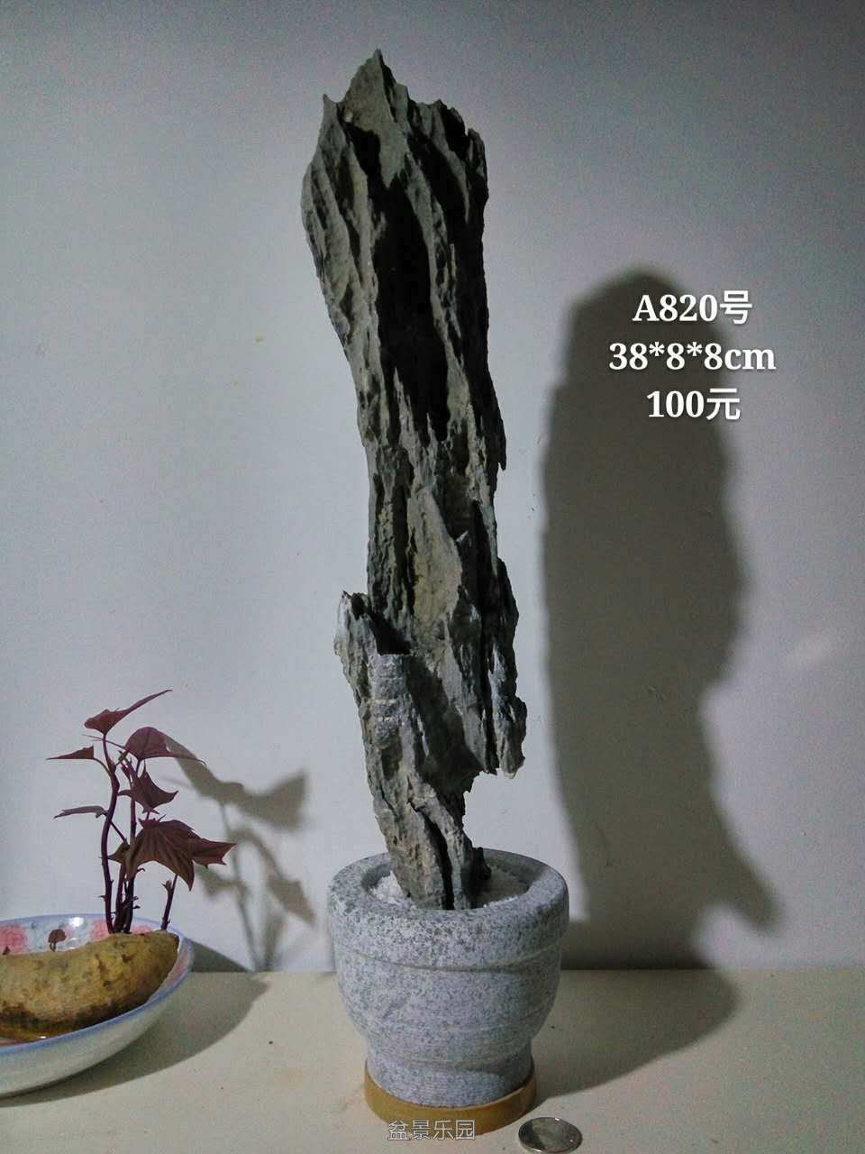 003746gru99mq9so29om9o.jpg