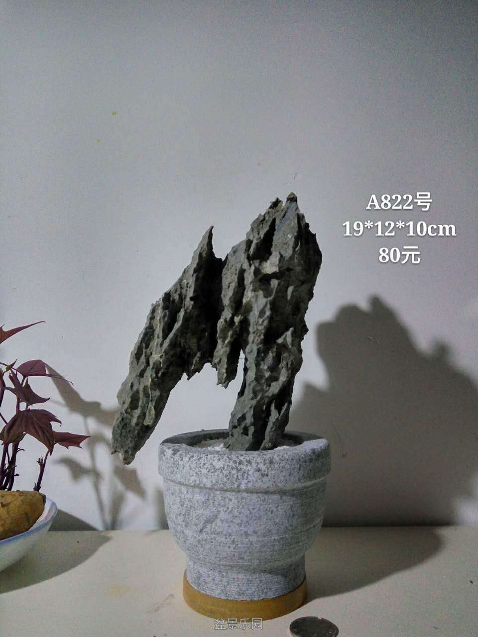 003747fdtctj4tptd9lzjr.jpg