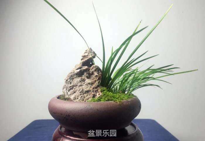 QQͼƬ20161213144616.jpg